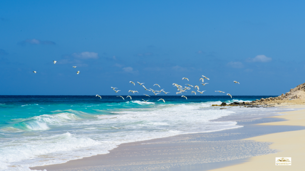Scenic beach in Egypt, North Africa, with clear blue water and sandy shoreline, illustrating best mediterranean cruise itineraries.