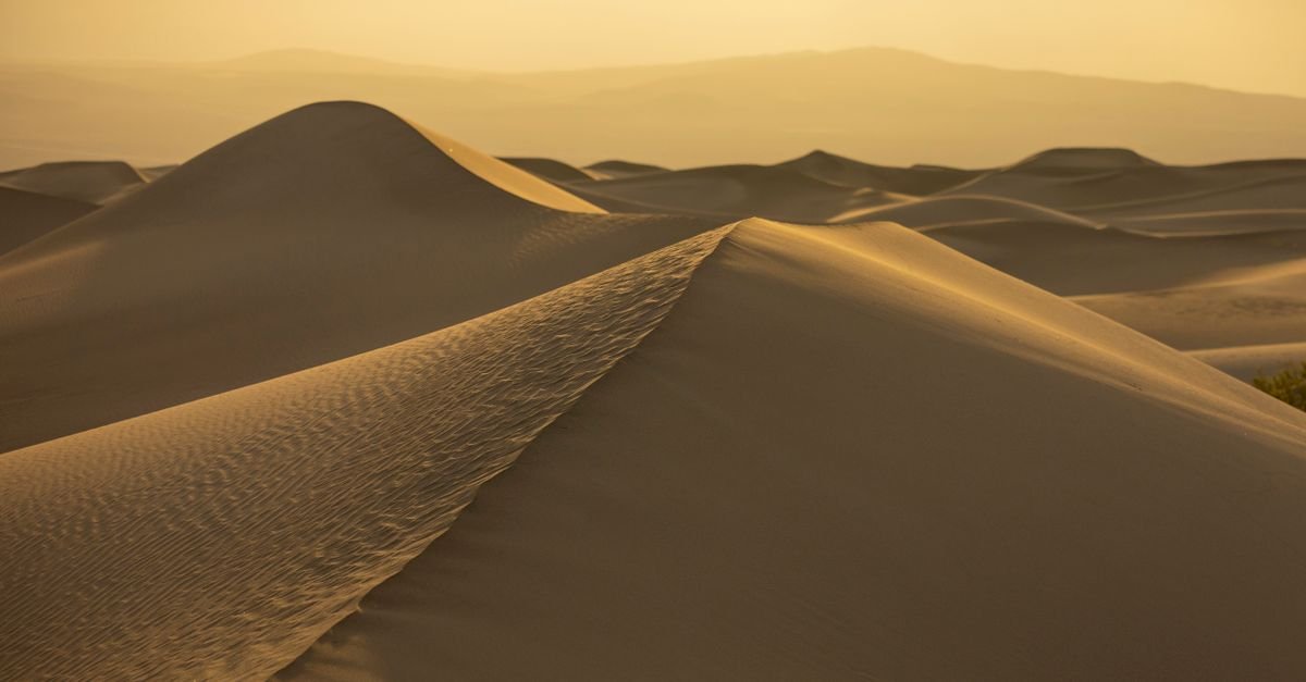 Golden desert dunes at sunset
