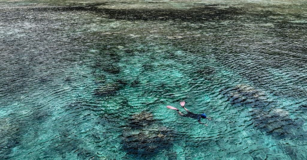 Snorkeller above a shallow coral reef in clear water