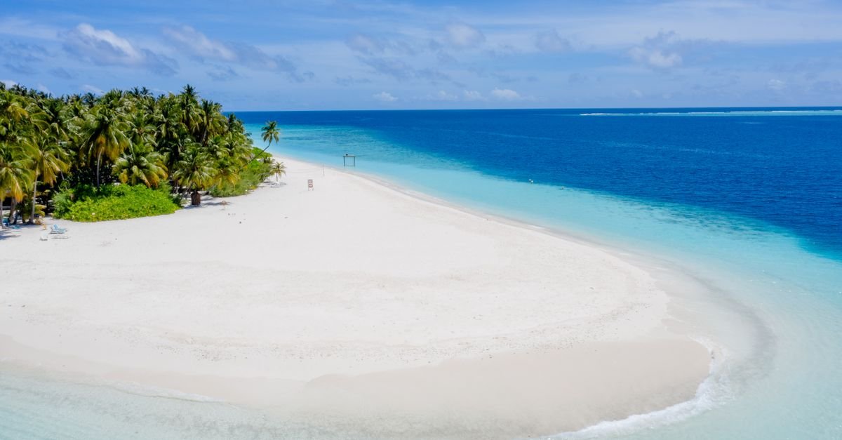 Palm trees leaning over white sand beside clear shallow water