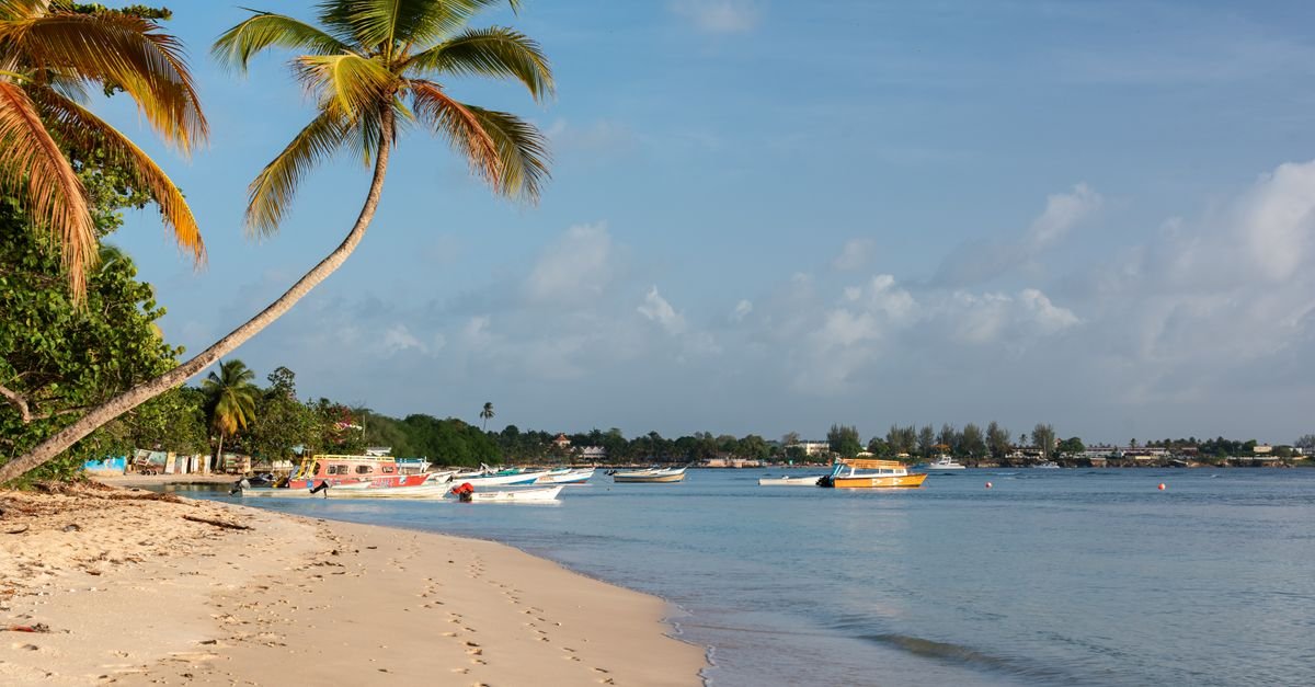 Calm Caribbean bay fringed with palms