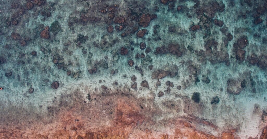 Shallow reef visible through clear turquoise water